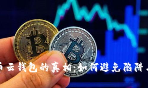比特币云钱包的真相：如何避免陷阱与风险