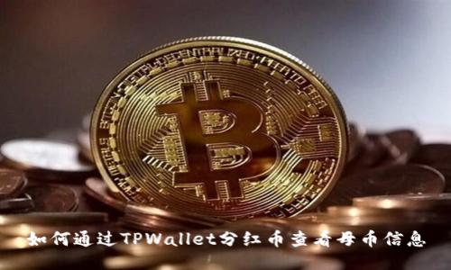 如何通过TPWallet分红币查看母币信息