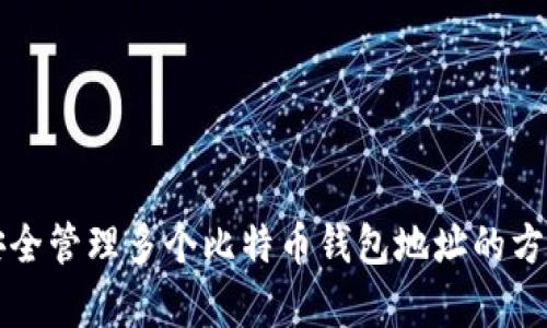 如何安全管理多个比特币钱包地址的方法解析