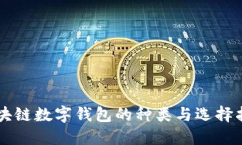 区块链数字钱包的种类与选择指南