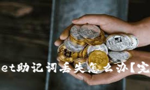 tpwallet助记词丢失怎么办？完全指南