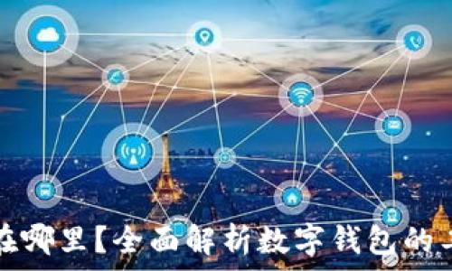   
tpwallet收到的币在哪里？全面解析数字钱包的工作原理与资产管理