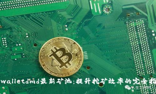 tpwalletdmd最新矿池：提升挖矿效率的完全指南