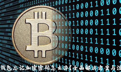 
比特币钱包忘记加密密码怎么办？全面解决方案与注意事项