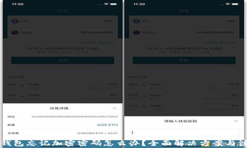 
比特币钱包忘记加密密码怎么办？全面解决方案与注意事项