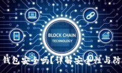 :比特币钱包安全吗？详解安全性与防护措施