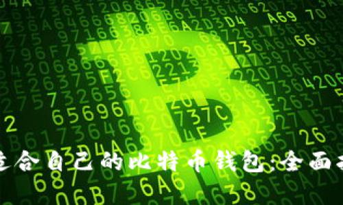 如何选择适合自己的比特币钱包：全面指南与推荐