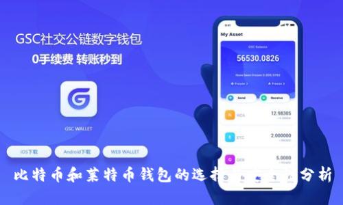 比特币和莱特币钱包的选择与安全性分析