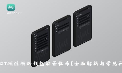 USDT刚注册的钱包能否收币？全面解析与常见问题