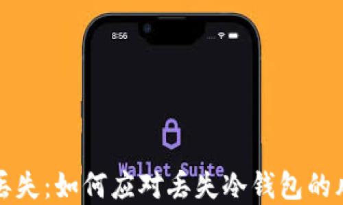 
比特币冷钱包丢失：如何应对丢失冷钱包的风险与解决方案