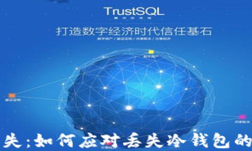 
比特币冷钱包丢失：如何应对丢失冷钱包的风险与解决方案