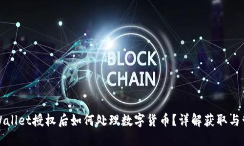 TPWallet授权后如何处理数字货币？详解获取与管理