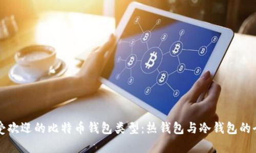 两种最受欢迎的比特币钱包类型：热钱包与冷钱包的全面解析