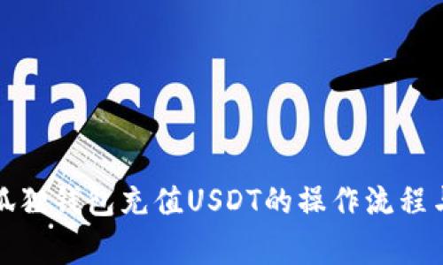 全面解析狐狸钱包充值USDT的操作流程与注意事项
