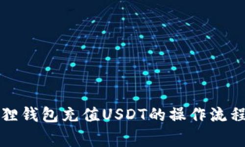 全面解析狐狸钱包充值USDT的操作流程与注意事项