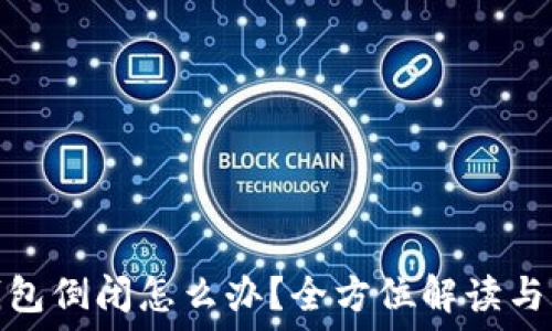 区块链钱包倒闭怎么办?全方位解读与应对策略