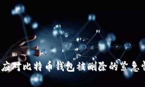 如何应对比特币钱包被删除的紧急情况？