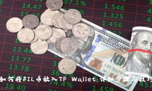 如何将FIL币放入TP Wallet：详细步骤与技巧