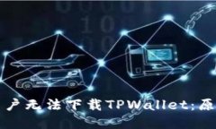 为什么苹果用户无法下载TPWallet：原因及解决方案
