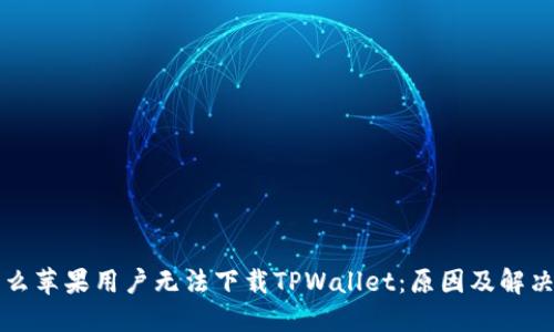 为什么苹果用户无法下载TPWallet：原因及解决方案