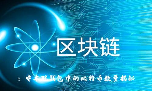 : 中本聪钱包中的比特币数量揭秘