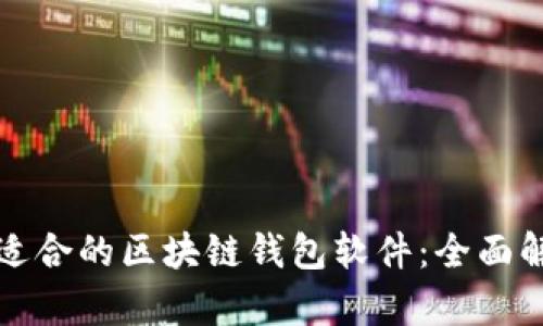 如何选择适合的区块链钱包软件：全面解析与推荐