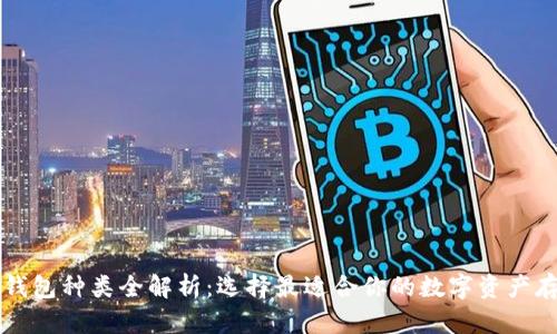 区块链钱包种类全解析：选择最适合你的数字资产存储方案