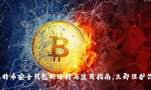 2025必看：比特币安全钱包的选择与使用指南，立即保护你的数字资产！