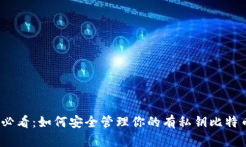 2025必看：如何安全管理你的有私钥比特币钱包