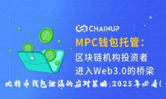 比特币钱包泄漏的应对策略：2025年必看！