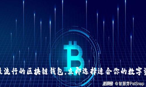 2025必看：最流行的区块链钱包，立即选择适合你的数字资产存储方案
