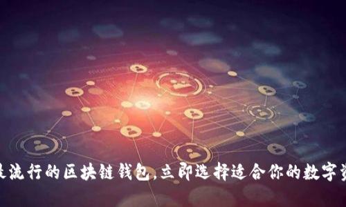 2025必看：最流行的区块链钱包，立即选择适合你的数字资产存储方案