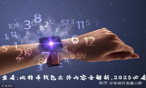 立即查看：比特币钱包文件内容全解析，2025必看指南