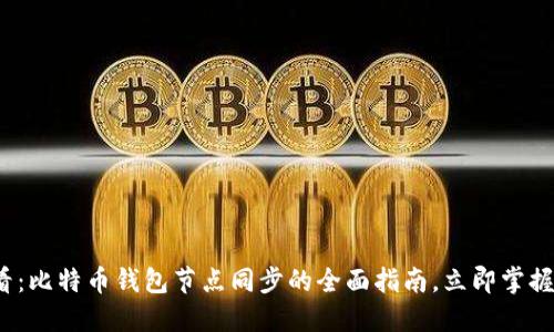 2025必看：比特币钱包节点同步的全面指南，立即掌握安全技巧