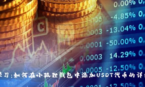 立即学习：如何在小狐狸钱包中添加USDT代币的详细步骤