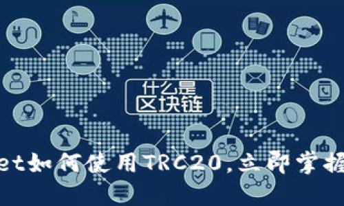 2025必看：TPWallet如何使用TRC20，立即掌握数字资产管理技巧