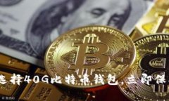 2025必看：如何选择40G比特币钱包，立即保护你的