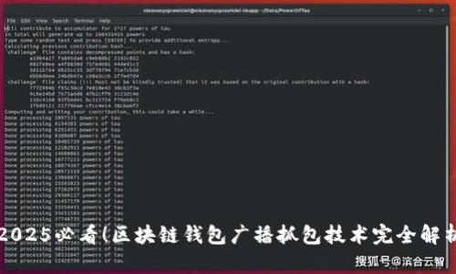 2025必看！区块链钱包广播抓包技术完全解析