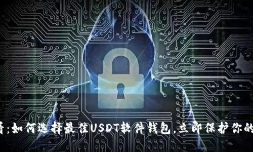 2025必看：如何选择最佳USDT软件钱包，立即保护你的数字资产