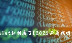 tpwallet私钥丢了？2025必看找回方法！