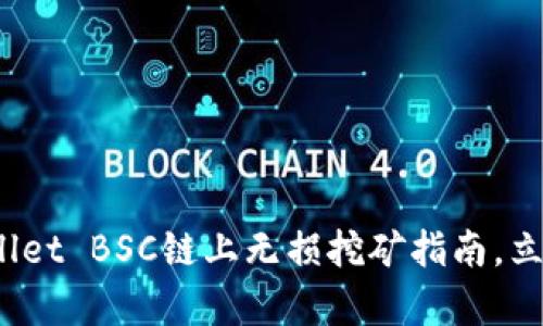 2025必看：tpWallet BSC链上无损挖矿指南，立即掌握最新技巧！