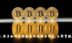 2025必看：新手如何选择和使用比特币钱包，立即