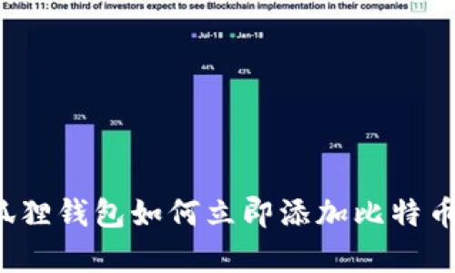2025必看：小狐狸钱包如何立即添加比特币，简单易懂指南