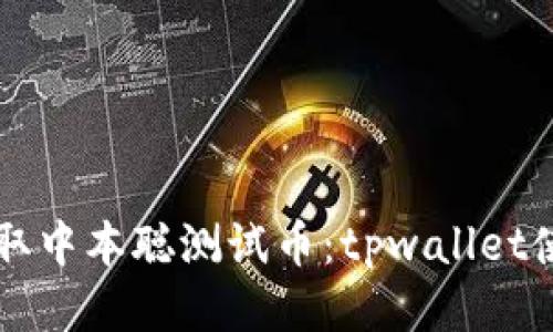 立即获取中本聪测试币：tpwallet使用指南
