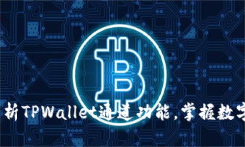 2025必看：全面解析TPWallet通道功能，掌握数字资产管理新趋势！