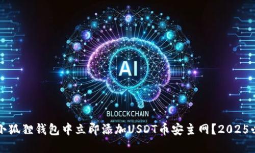 如何在小狐狸钱包中立即添加USDT币安主网？2025必看指南