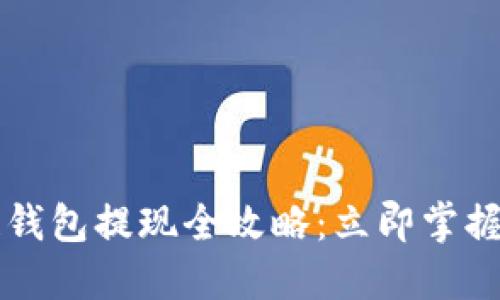 2023年区块链钱包提现全攻略：立即掌握安全提款技巧!