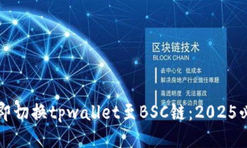 如何立即切换tpwallet至BSC链：2025必看指南