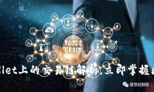 2025必看：TPWallet上的交易链解析，立即掌握区块链技术的未来