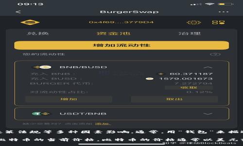 比特币并没有“多少钱包”这一说法，它的价值是动态变化的，受市场供需、投机活动、经济趋势和政策法规等多种因素影响。通常，用“钱包”来描述比特币的存储方式，而不是用来指代其金额。

对于比特币的具体价值，很多时候是通过各大交易所的实时数据来确认的，投资者可以随时查看比特币的当前价格。比特币的价格通常以美元或其他法定货币（如欧元或人民币）来计算。总的来说，比特币的价值不是固定的，而是时刻变化的。